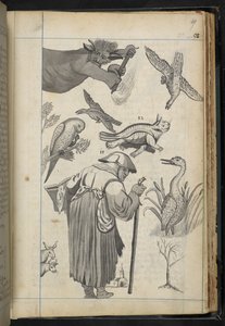 Lägg till MS 32496 f.49r Illustration från 