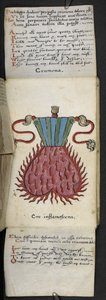 Lägg till MS 57312 f.10 spelbok (bläck & färg på veläng) av English School