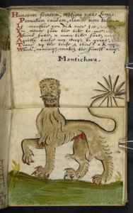 Lägg till MS 57312 f.11 spelbok (bläck & färg på veläng) av English School