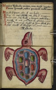 Lägg till MS 57312 f.5 spelbok (bläck & färg på veläng) av English School