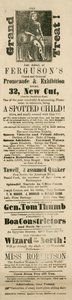 Annons för Fergusons Grand and Oriental Promenade and Exhibition, 32 New Cut, Lambeth, London av English School