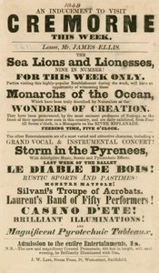 Annonsera för uppkomsten av sjölejon och lejoninnor i Cremorne Gardens, London 1848 av English School