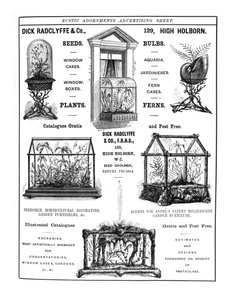 Werbung für Dick Radclyffe & Co. Rustikale Verzierungen von English School