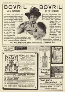 Reklam spreds från The Graphic Christmas Number 1896 av English School