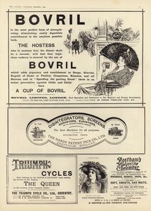 Reklam spreds från The Graphic Christmas Number 1897 av English School