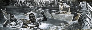 Afrikaner som räddar djur av English School