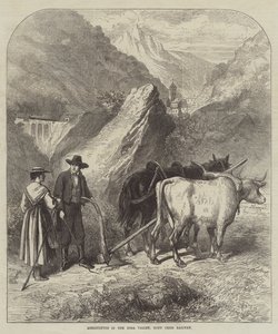 Jordbruk i Doradalen, Mont Cenis Railway (gravyr) av English School
