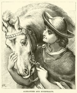 Alexander och Bucephalus (gravyr) av English School