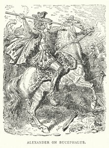 Alexander på Bucephalus (gravyr) av English School
