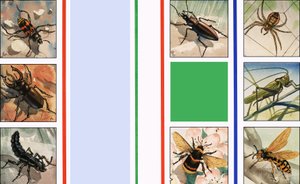 Alla sorters insekter av English School