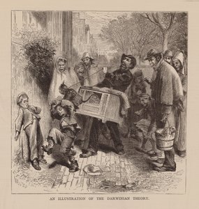 En illustration av den darwinistiska teorin (gravyr) av English School