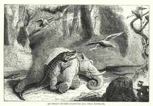 En indisk djungel, alligator och död elefant (gravyr) av English School