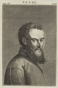 Andreas Vesalius av English School