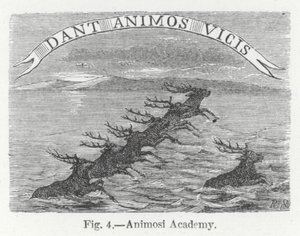 Animosi Academy (gravyr) av English School