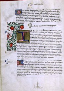 Arkiv 9432 f.19v Sida med text med upplyst initial 