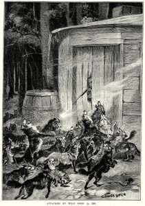 Attackerad av vilda hundar (gravyr) av English School