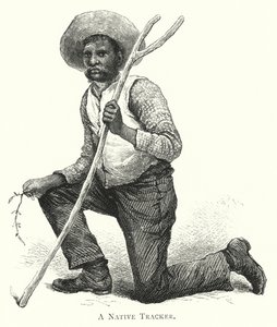 Australien: A Native Tracker (gravyr) av English School