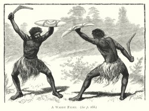 Australien: En kamp mot Waddy (gravyr) av English School