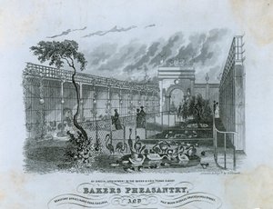 Bakers Pheasantry, Chelsea av English School