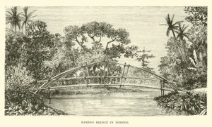 Bambubro i Borneo av English School