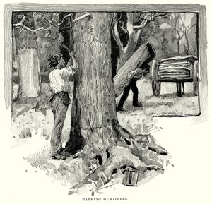 Barking Gum-Trees (gravyr) av English School