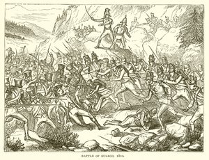 Slaget vid Busaco, 1810