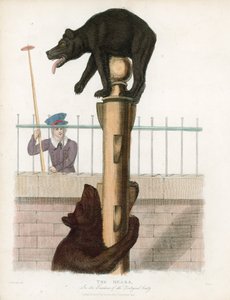 Bear Pit, London Zoological Gardens, Regents Park av English School
