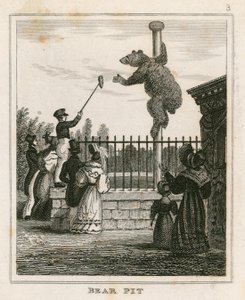 Bear Pit, London Zoological Gardens, Regents Park av English School
