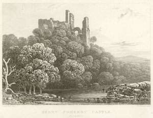 Berry Pomeroy Castle, Devonshire (gravyr) av English School