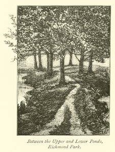 Mellan Upper och Lower Ponds, Richmond Park av English School