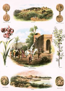 bibliska illustrationer av English School