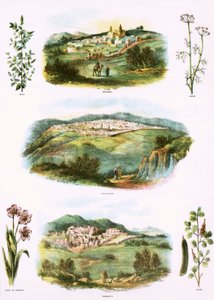 bibliska illustrationer av English School