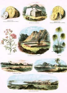 bibliska illustrationer av English School