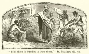 "Bind dem i buntar för att bränna dem", St Matteus, xiii, 30 (gravyr) av English School