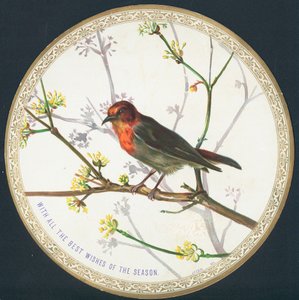 Fågel, julkort av English School