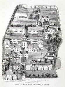Fågelperspektiv över Coldbath Fields Prison, från "The Criminal Prisons of London and Scenes of Prison Life" av Henry Mayhew (1812-87) och John Binny av English School