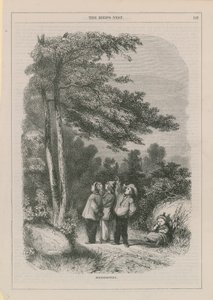 Fågelholkning av English School