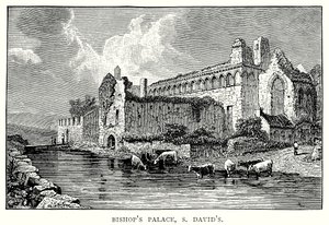 Biskopspalatset, S David