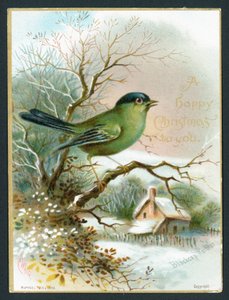 Blackcap sångare, julkort av English School