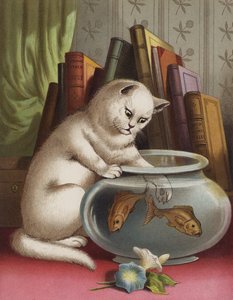Blanchie och guldfisken (chromolitho) av English School