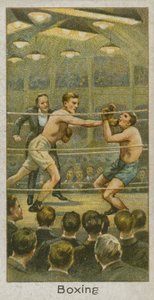 Boxning av English School
