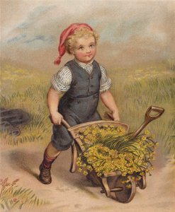 Pojke skjuter en skottkärra full med blommor (chromolitho) av English School