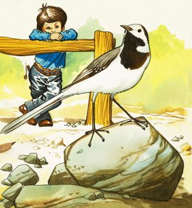 Junge beobachtet einen unbekannten Vogel