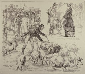 Bojkott i Irland, från The Illustrated London News, 4 oktober 1886