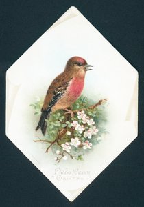Brambling, nyårskort av English School