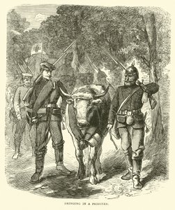 Införa en fånge, september 1870 av English School