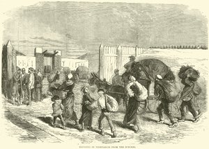 Införa grönsaker från förorten, oktober 1870 av English School