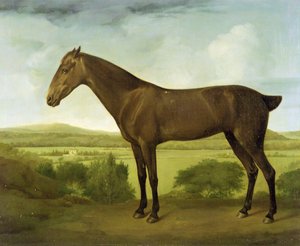 Brun häst i ett kuperat landskap, ca 1780-1800