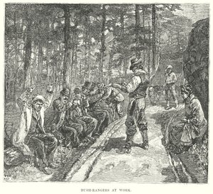 Bush-Rangers i arbete (gravyr) av English School