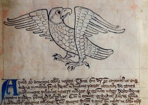CCA-LitMs/D/10 fol. 13r Eagle, från Bestiary av English School